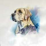 Original Watercolor Painting "Labrador" Papier aquarelle Art moderne Portugal 2023 - photo 2