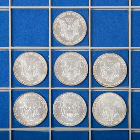 USA - 7 x Liberty Dollars 1991, SILVER, - Foto 3