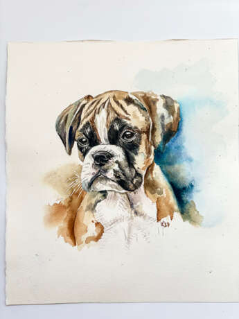Boxer Pup Watercolor paper Modern art Aussi Portugal 2023 - photo 2