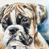Boxer Pup Watercolor paper Modern art Aussi Portugal 2023 - photo 3