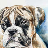 Boxer Pup Watercolor paper Modern art Aussi Portugal 2023 - photo 4