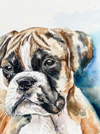 Boxer Pup Watercolor paper Modern art Aussi Portugal 2023 - photo 4