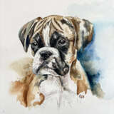 Boxer Pup Watercolor paper Modern art Aussi Portugal 2023 - photo 5