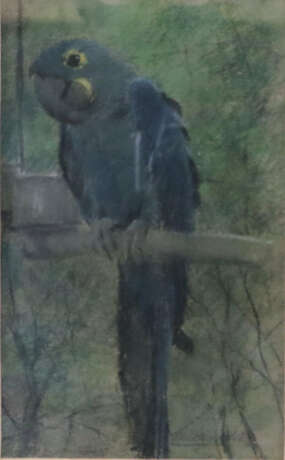 Pucinski, Viktor (1882 Posen - 1952) - Papagei, - Foto 1