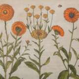 BESLER, BASILIUS, attr./after (1561-1629), "Calendula prolifera" from "Hortus Eystettensis - Garden of Eichstätt", - Foto 3