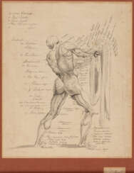 Thomas MONRO (1759-1833), Menschliche Anatomie, Tinte auf Papier, signiert