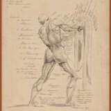 Thomas MONRO (1759-1833), Menschliche Anatomie, Tinte auf Papier, signiert - Foto 1