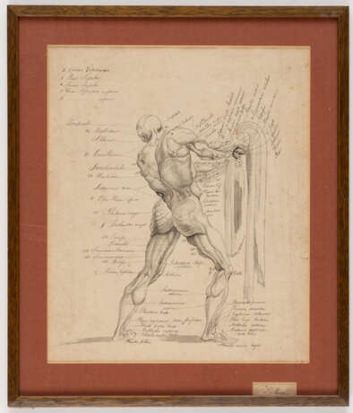 Thomas MONRO (1759-1833), Menschliche Anatomie, Tinte auf Papier, signiert - Foto 3