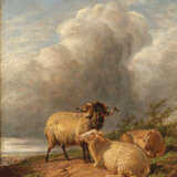 UNBEKANNTER MALER, Schafe, Öl auf Holz, 19. Jh. - Foto 1