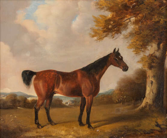 John Harry CURTIS (TÄTIG 1790-1822), Pferde-Portrait, Öl auf Leinwand, signiert - Foto 1