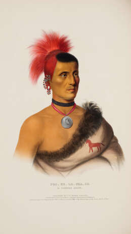 History of the Indian Tribes of North America - photo 2