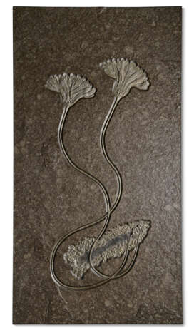 A FOSSIL SEA LILY PLAQUE - фото 1