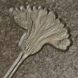 A FOSSIL SEA LILY PLAQUE - фото 2