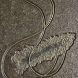 A FOSSIL SEA LILY PLAQUE - photo 3