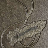 A FOSSIL SEA LILY PLAQUE - фото 3