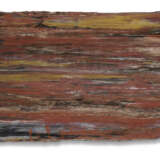 A SLICE OF SILICIFIED CONIFER WOOD - photo 1