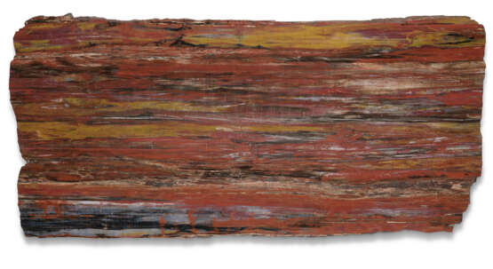 A SLICE OF SILICIFIED CONIFER WOOD - photo 1