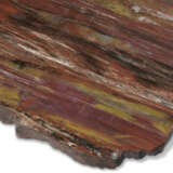 A SLICE OF SILICIFIED CONIFER WOOD - photo 2