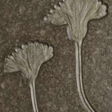 A FOSSIL SEA LILY PLAQUE - фото 4