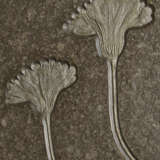 A FOSSIL SEA LILY PLAQUE - Foto 4