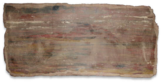 A SLICE OF SILICIFIED CONIFER WOOD - photo 4