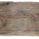 A SLICE OF SILICIFIED CONIFER WOOD - photo 4