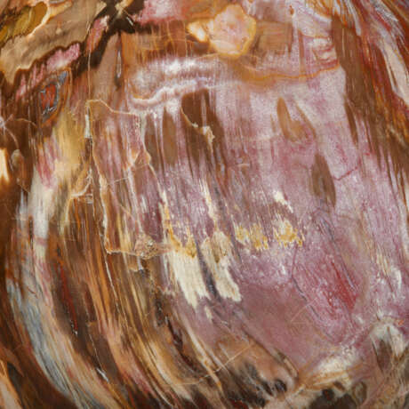 A FOSSIL WOOD SPHERE - фото 2