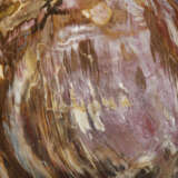 A FOSSIL WOOD SPHERE - Foto 2