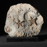 A FOSSIL STARFISH PLAQUE - photo 1