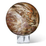 A FOSSIL WOOD SPHERE - photo 3