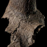 A LARGE TRICERATOPS HORN - Foto 6