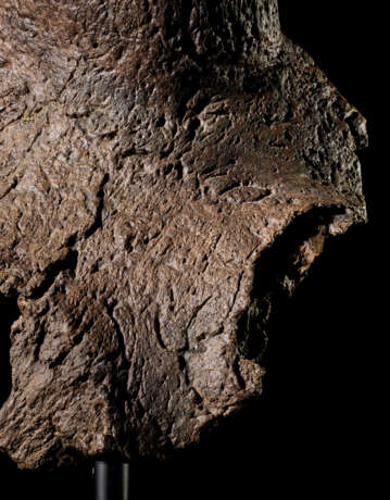 A LARGE TRICERATOPS HORN - Foto 8