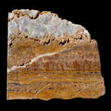 STROMATOLITE, ONE OF THE EARLIEST FORMS OF LIFE - фото 1