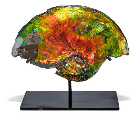 A PARTIAL IRIDESCENT AMMONITE - photo 1