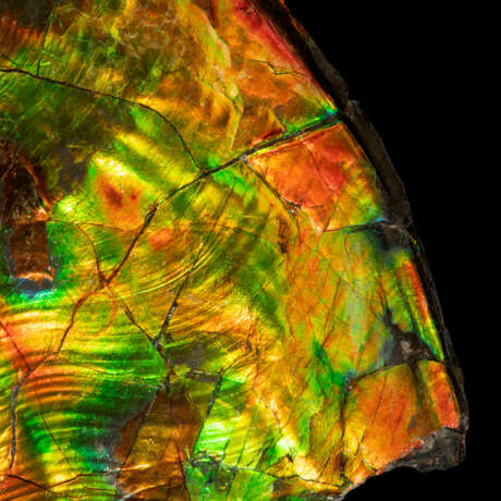 A PARTIAL IRIDESCENT AMMONITE - фото 2