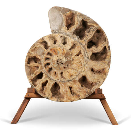 AN ENORMOUS SPLIT AMMONITE PAIR - фото 2