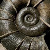 A "WINGED" AMMONITE GROUP - photo 6