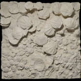 A LARGE GROUP OF FOSSILIZED SCALLOPS - фото 1