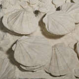 A LARGE GROUP OF FOSSILIZED SCALLOPS - Foto 2