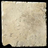 FOSSIL LEAVES - photo 4