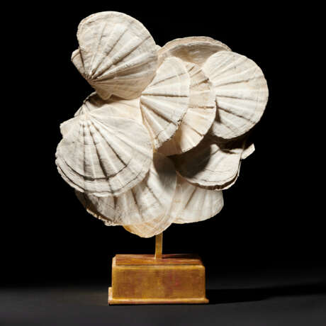 A GROUP OF FOSSILIZED SCALLOPS - фото 3