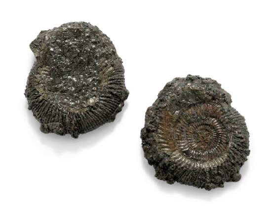 A PAIR OF PYRITIZED SPLIT AMMONITES - photo 3