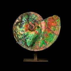 AN EXCEPTIONALLY VIBRANT IRIDESCENT AMMONITE