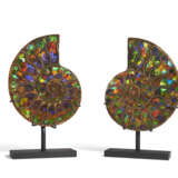 A PAIR OF INLAID AMMONITES - photo 1