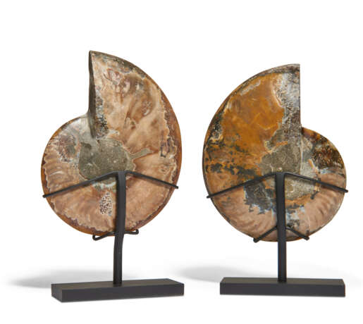 A PAIR OF INLAID AMMONITES - photo 3