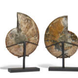 A PAIR OF INLAID AMMONITES - Foto 3