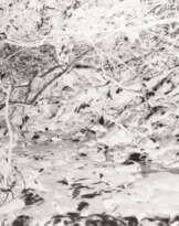 JONAS GERHARD 'PARADISE NO. 4' (2009)