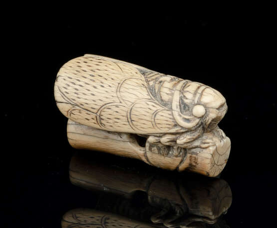 Netsuke in Form einer Zikade aus Elfenbein mit schöner Alterspatina - фото 1