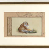 Zwei Buchseiten mit Kalligraphie und Gouachen eines stehenden Löwenpaares und eines liegenden Tigers - Foto 4