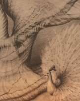 роскошь роскошь